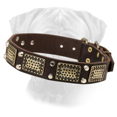 Bullmastiff Collar Decorated Leather Riveted Pyramids for Walking