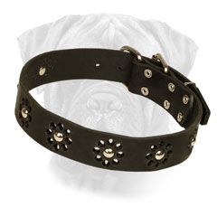 Bullmastiff Collar Leather Decorated with Flower for Walking
