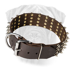 Bullmastiff Leather Collar Strong Buckle