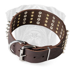 Bullmastiff Leather Collar Wide Adjustable for Walking