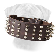 Adjustable Bullmastiff Leather Collar