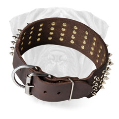 Spiked Bullmastiff Leather Collar Adjustable
