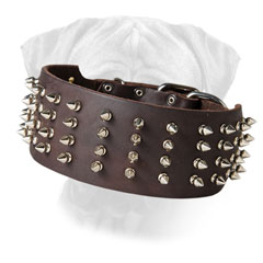 Spiked Bullmastiff Leather Collar Wide for Walking