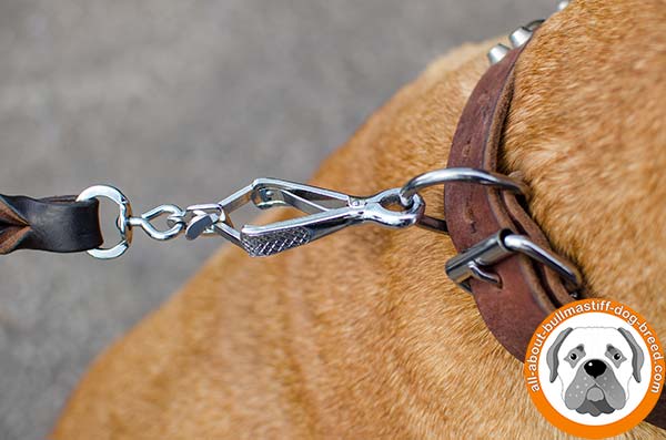 Durable and soft leather Bullmastiff collar with fancy adornment