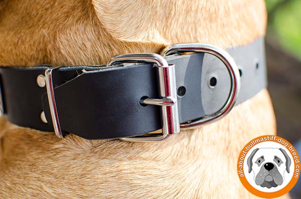 Handmade leather decorated collar for Bullmastiff