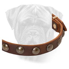 Bullmastiff decorated fine leather collar