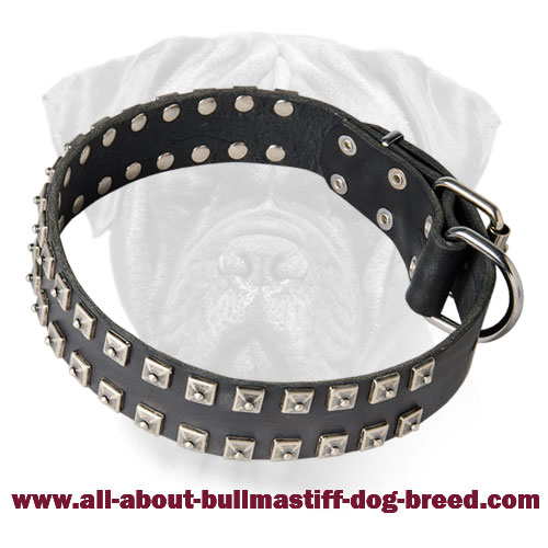 funky leather dog collars