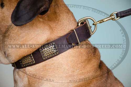 Leather Dog Collar Good-looking