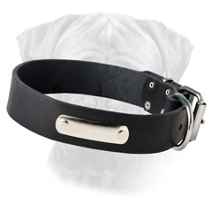 Bullmastiff heavy-duty Leather   Collar