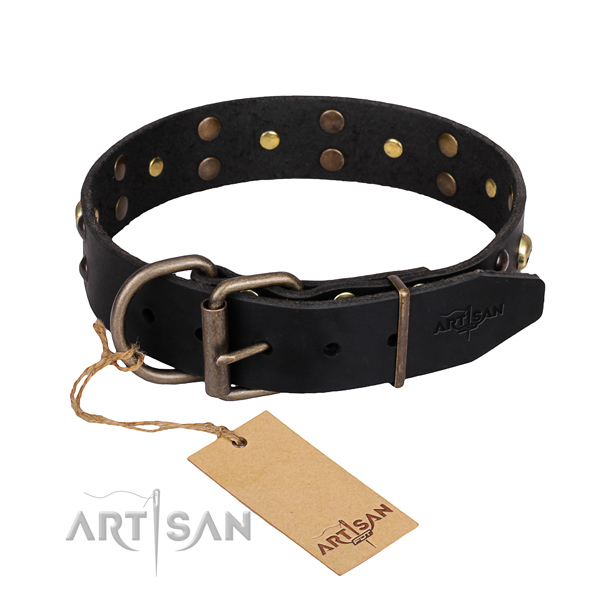 Casual style leather dog collar with extraordinary studs