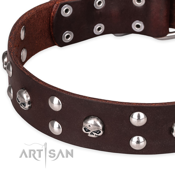 Casual leather dog collar with fashionable decorations