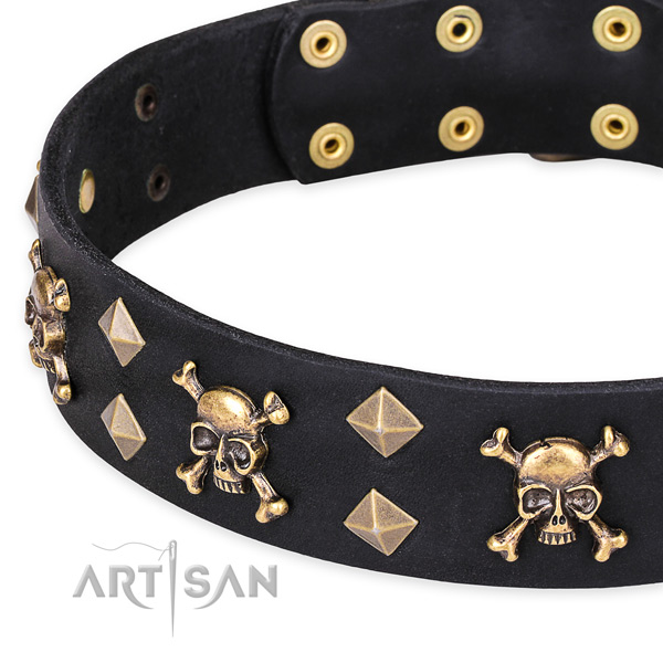 Casual leather dog collar with extraordinary adornments