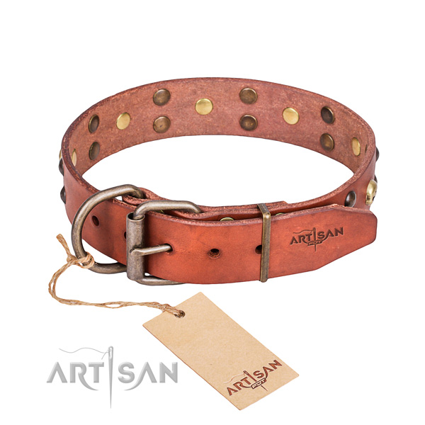 Leather dog collar with polished edges for comfy walking