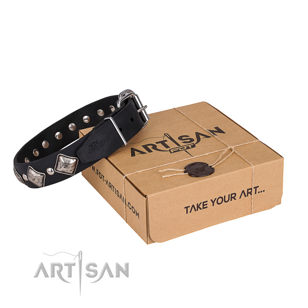 Casual style leather dog collar with extraordinary adornments