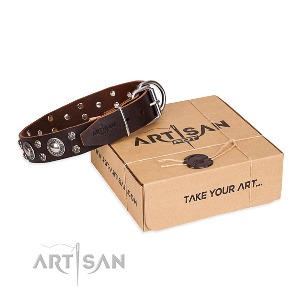 Casual leather dog collar with exciting studs