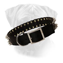 Nylon Dog Collar with 2 rows of spikes