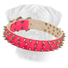 Bullmastiff Leather Pink Collar Wide for Walking