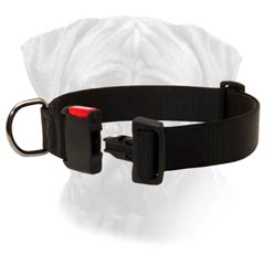 Comfy Handling Bullmastiff Nylon Dog Collar