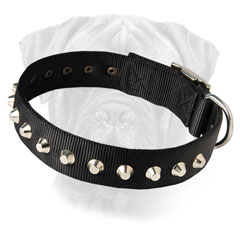 Riveted Bullmastiff Nylon Collar Increased Durability