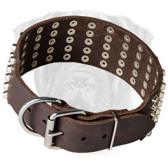 Wide Bullmastiff Leather Collar Adjustable