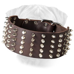 Leather Bullmastiff Wide Collar Decorated