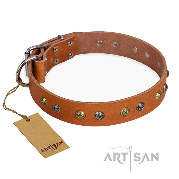 Comfortable wearing easy adjustable dog collar with corrosion resistant hardware