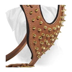 Top Quality Leather Canine Harness with Brass Spikes