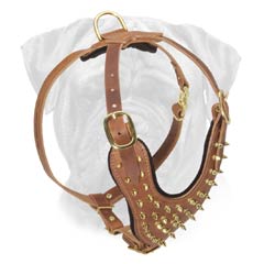 Adjustable Leather Harness Decorated with Brass Spikes