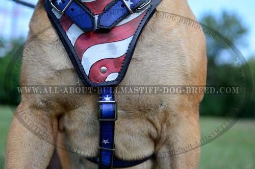 Super American Flag Painting on Leather Dog Harness