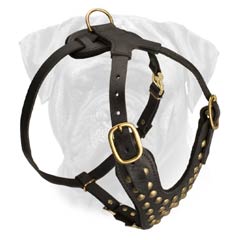 Felt Padded Dog Leather Harness for Bullmastiffs