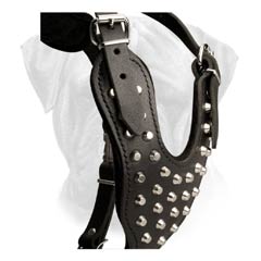 Extremely Comfortable Leather Dog Harness for Bullmastiff