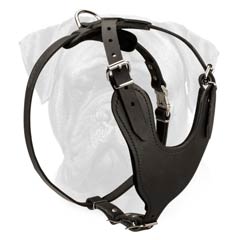 High Quality Leather Bullmastiff Harness