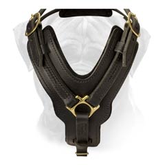 Extra Strong Leather Training Dog Harness