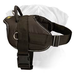 Lightweight Training Nylon Dog Harness