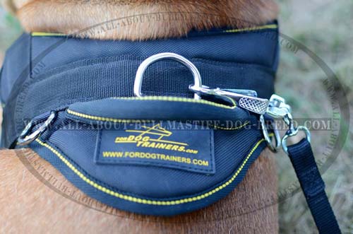 Best Pulling Harness