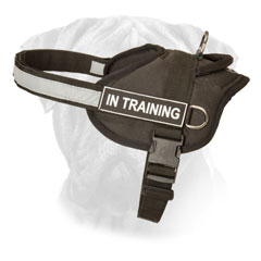 Nylon Bullmastiff Harness with Reflective Strap and Quick Release Buckle
