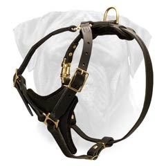   Bullmastiff Dog Breed Leather Harness Carefully Stitched and Padded With Y-shape Chest