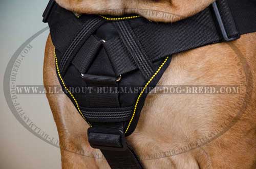 Incredible Dog Harness