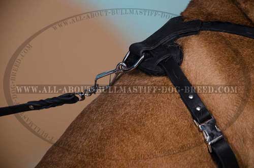 Dog Harness Durable