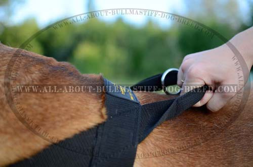 Extra Strong Handle on Nylon Dog Harness with ID Patches