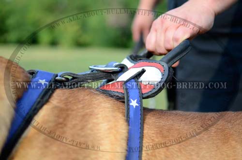 Easy Grab Handle on Hand Painted Leather Dog Harness