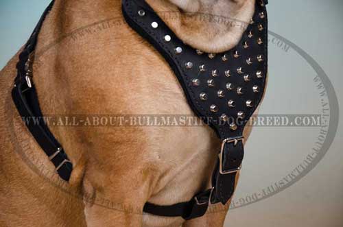 Super strong Dog Harness