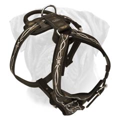 Bullmastiff Dog Breed Leather Harness Painted With Barbed Wire Image