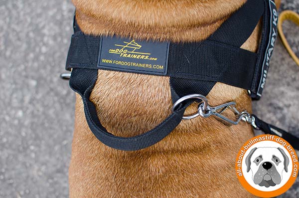 Reliable nylon Bullmastiff harness for any purpose