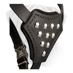 Studded Chest Plate of Walking Padded Leather Puppy Harness