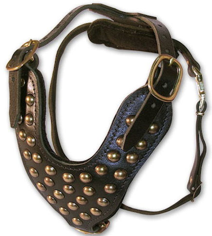 2 Ply Studded Leather Dog Harness for Bullmastiff