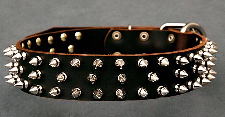 The Best Designer Leather Dog Collar with Massive Plates and Spikes for  Bullmastiff breed [C84##1014 Brass massive plates with 6 nickel spikes 3  pyramids] : Bullmastiff dog harness, Bullmastiff dog muzzle, Bullmastiff