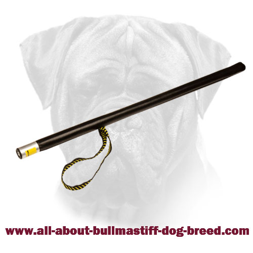 Agitation Stick For Bullmastiff Training