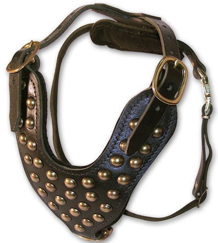 BULLMASTIFF Studded Leather Dog Harness -H15