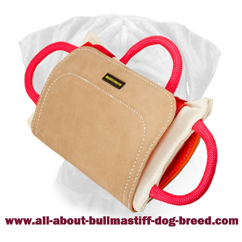 Pro Bite Pillow Leather Cover for Advanced Bullmastiff Training